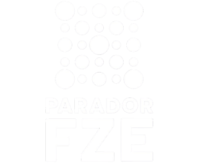 Paradorfze Store